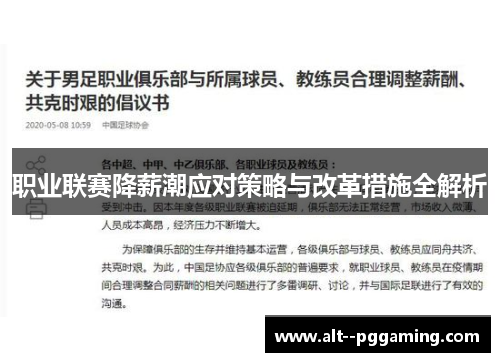 职业联赛降薪潮应对策略与改革措施全解析