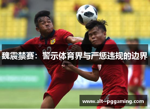 魏震禁赛:警示体育界与严惩违规的边界 魏震禁赛:警示体育界与严惩违规的边界