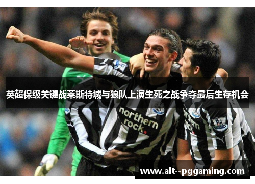 英超保级关键战莱斯特城与狼队上演生死之战争夺最后生存机会