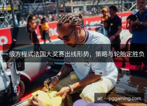 一级方程式法国大奖赛出线形势，策略与轮胎定胜负